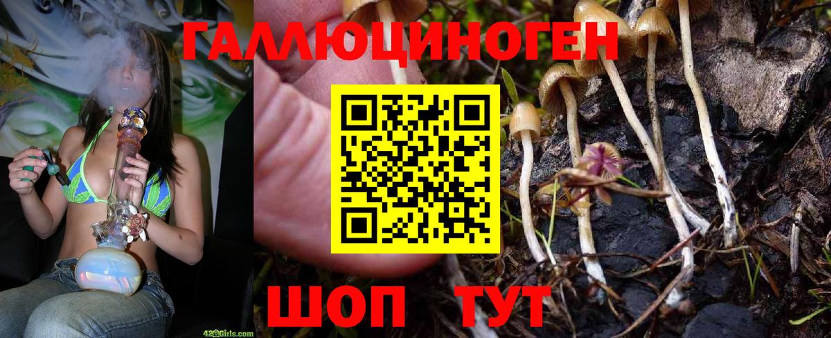 Псилоцибиновые грибы Magic Shrooms  Вход с VPN  Ртищево 