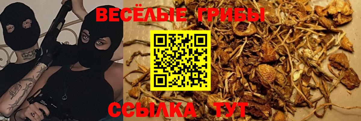 Галлюциногенные грибы MAGIC MUSHROOMS Ртищево